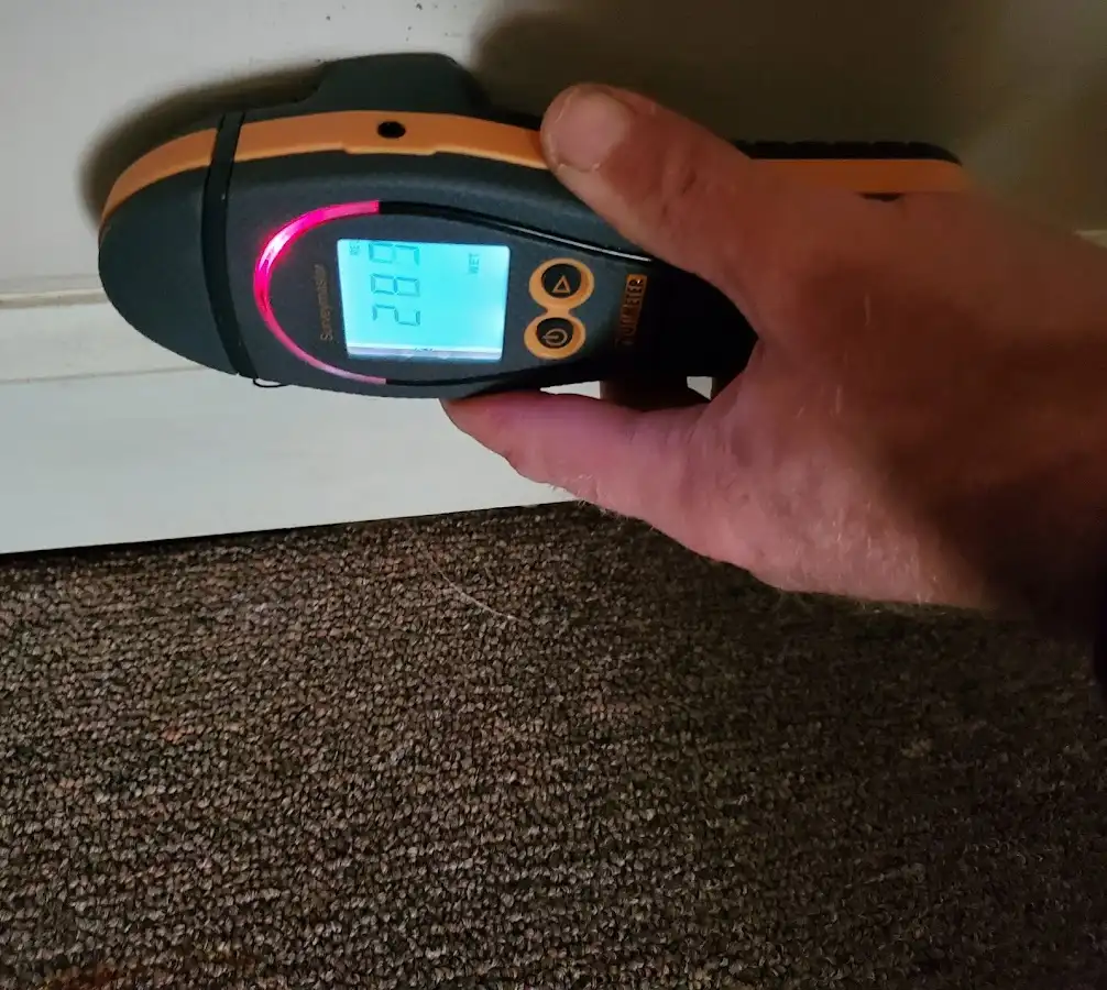 Moisture detection at baseboard during Sewage Cleanup & Sanitation in Helena Valley West Central